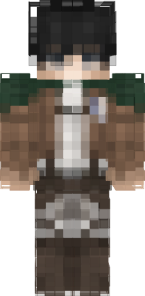 Preview of texture: levi