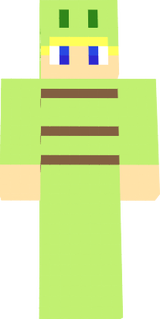 skin de turtleizer