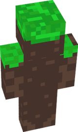  Dirt Skin Slim