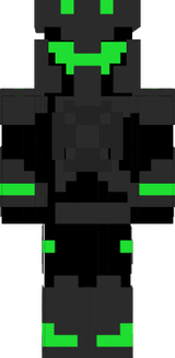 skin