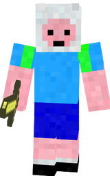 Fin