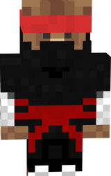 Ninja bear