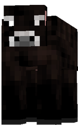 Angus