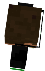 Preview of texture: stevefrog