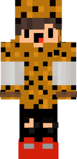 skin