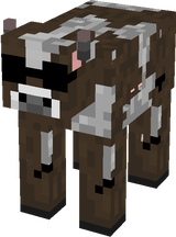 com
