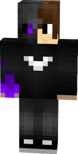 skin palasword