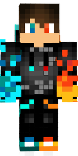 Skin2