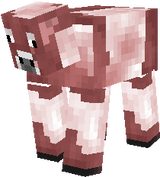 Short Horn