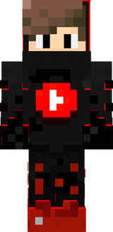 sindi_pro