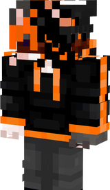 void v4