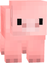 Cute pig