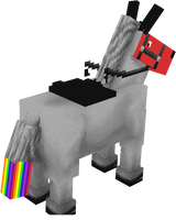hourse