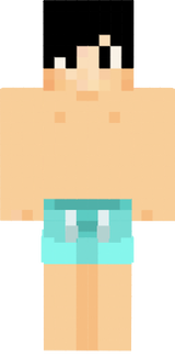 Estate in minecraft