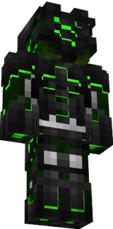 Badget
