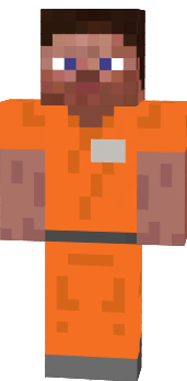 Preview of texture: Prisoner Steve