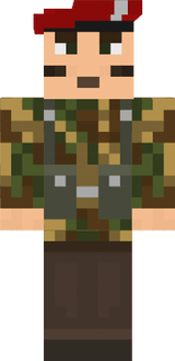 sas