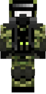 skin