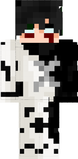 AMinecarft skin