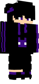 setskin