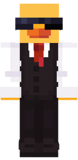 Minecraft Skin 1