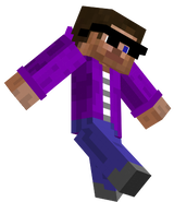 Mr.Steve