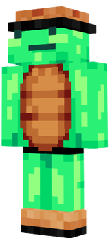 fsy