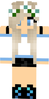 Minecraft skin