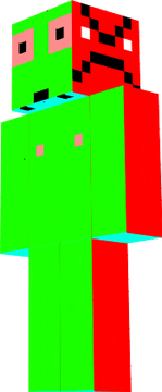 color guy