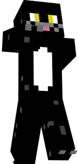cat02