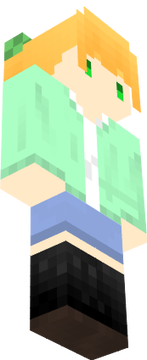３３