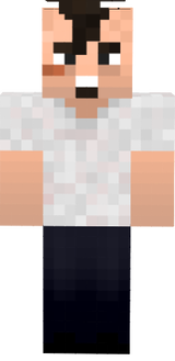 t bag