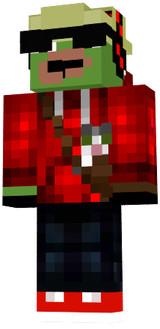 20132