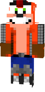 Crash twinsanity
