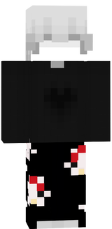 skin terminada