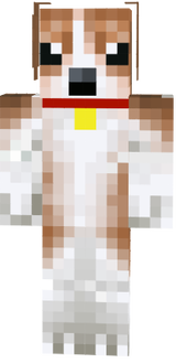 dackel