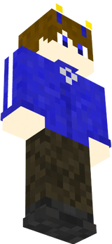 InvaderT skin 1
