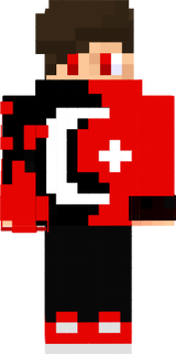 Skin in MC