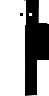 mc skin