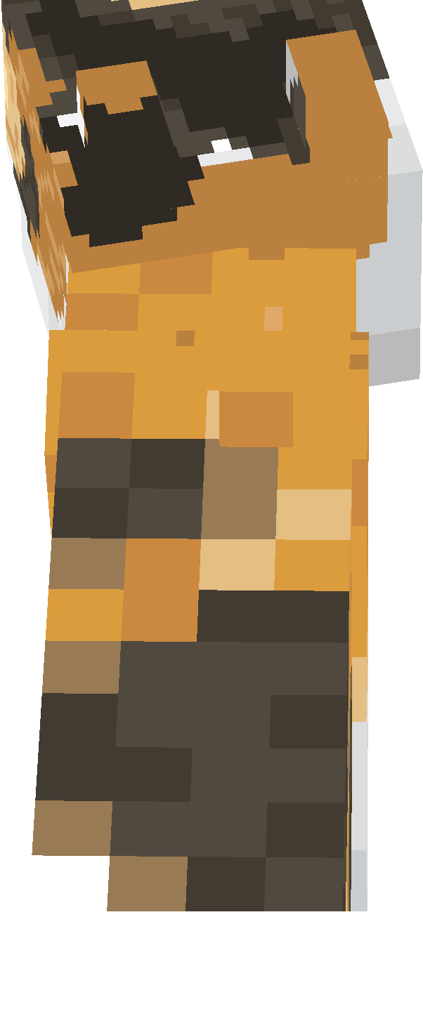 Preview of texture: 11