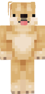 cogi