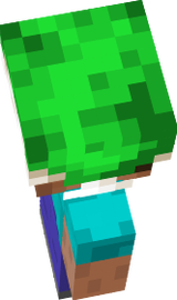 dwa