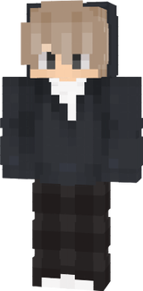 2skin einfach