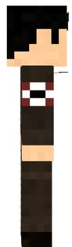bfgf