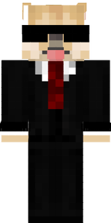 maxi minecraft