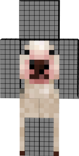 Homo Habilis