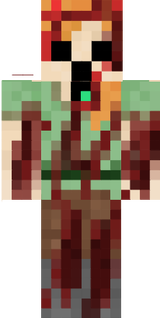 Ş