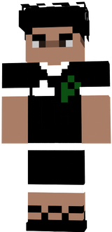 skin minecraft
