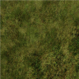 Grass Block