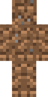 camo 1